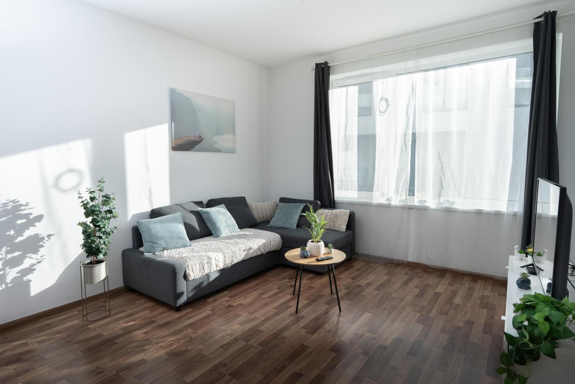 Raday Premium With Ac Apartment